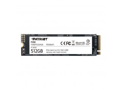 P300 Black 512GB A