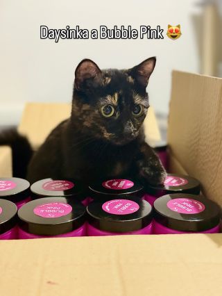 Naše dvě krásky, které máme už půl roku 🫶🏻. Nerozlučné ségry na celý život 😻. A pochopitelně jsme s Erí šťastný, že u nich...