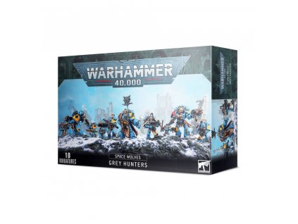 SPACE WOLVES: GREY HUNTERS