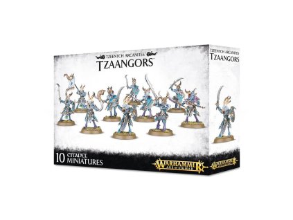 DISCIPLES OF TZEENTCH: TZEENTCH TZAANGORS