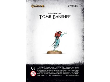 WARHAMMER AGE OF SIGMAR: NIGHTHAUNT - TOMB BANSHEE