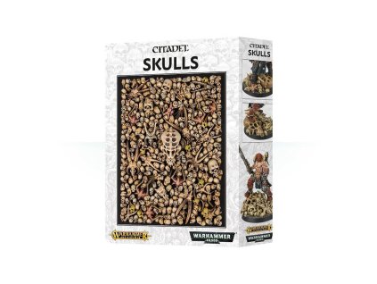 WARHAMMER AGE OF SIGMAR: CITADEL SKULLS