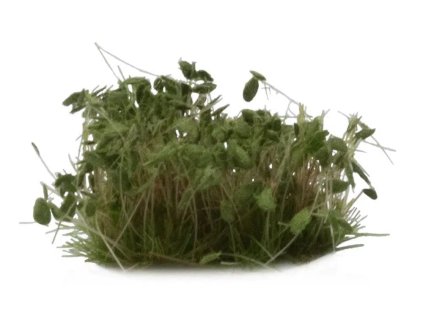 TUFTS: DARK GREEN SHRUBS