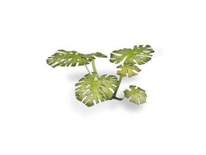 LEAVES: MONSTERA - LASER PLANTS