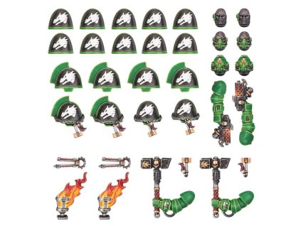 Warhammer 40000 Salamanders Primaris Upgrades and transfers1
