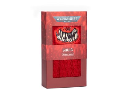 99709989061 LICSquigSlipperSocks202503