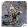 DAEMONS OF NURGLE: POXBRINGER