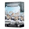 WARHAMMER 40K: SPACE WOLVES - FENRISIAN WOLVES