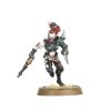 WARHAMMER 40K: DRUKHARI - WYCHES