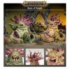 WARHAMMER AGE OF SIGMAR: MAGGOTKIN OF NURGLE - BEAST OF NURGLE