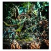 WARHAMMER AGE OF SIGMAR: SYLVANETH - WARSONG REVENANT