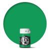 P3: GREEN INK