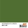 AK INTERACTIVE - 3RD GEN: INTERMEDIATE GREEN 11149
