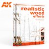 REALISTIC WOOD EFFECTS (AK LEARNING SERIES NO1)