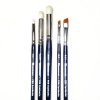 DRYBRUSH: PRO 5 BRUSH SET