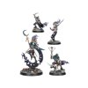 Order Warbands Seekers in Shadow03