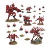 FARSIGHT CADRE01
