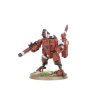 FARSIGHT CADRE08