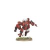 FARSIGHT CADRE07