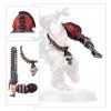 RED CORSAIRS UPGRADES AND TRANSFERS3
