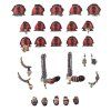 RED CORSAIRS UPGRADES AND TRANSFERS1