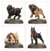 VEN DENSTS HOUNDS5