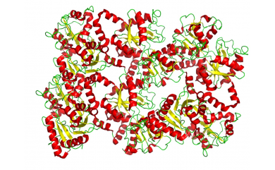 Lactoferin, tajná zbraň imunitního systému!