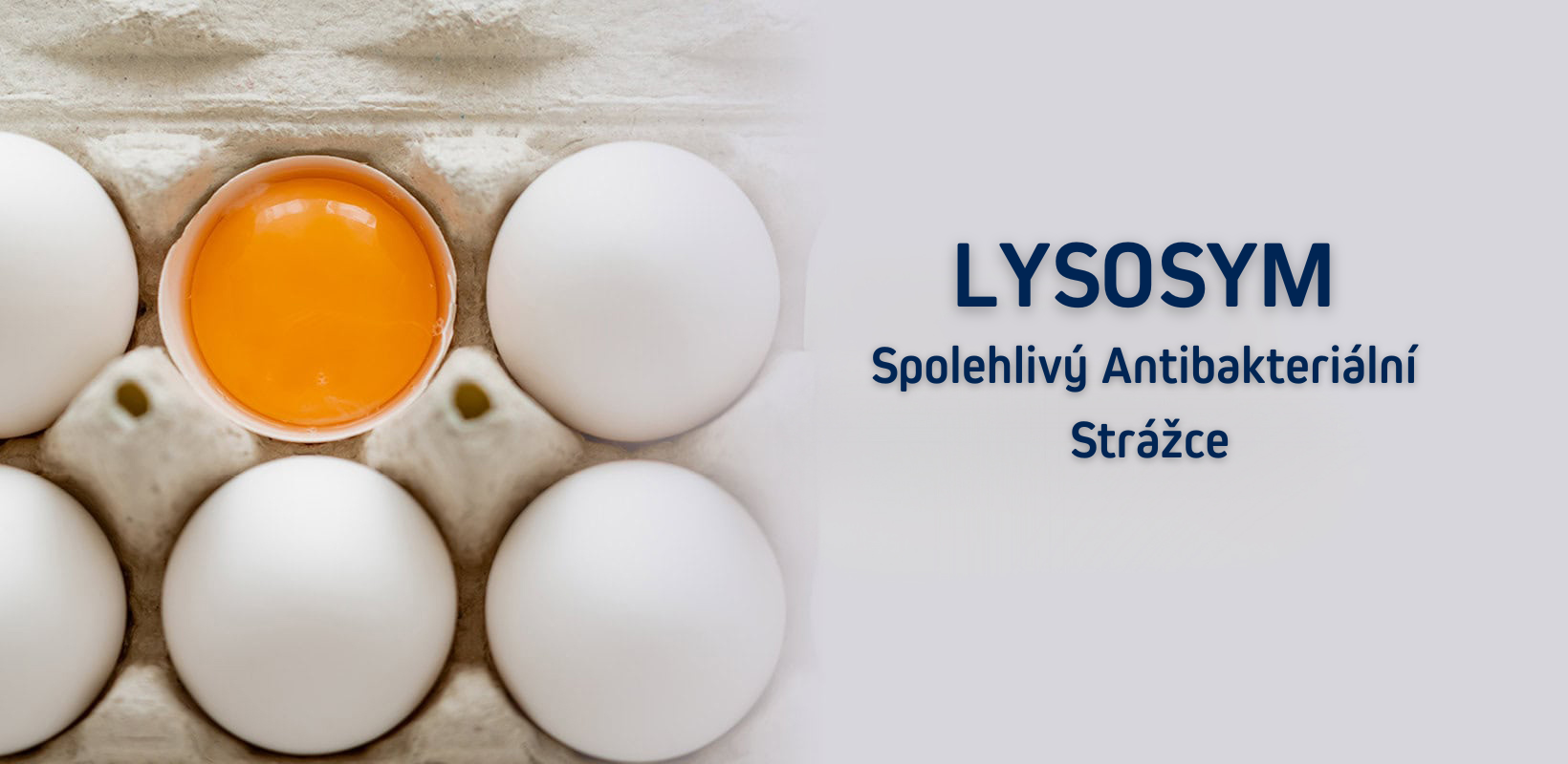 Lysosym