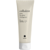 colladent 2