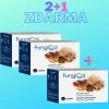FungiCol - Funkční Adaptogeny