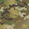 Multicam