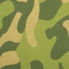 NCAMO