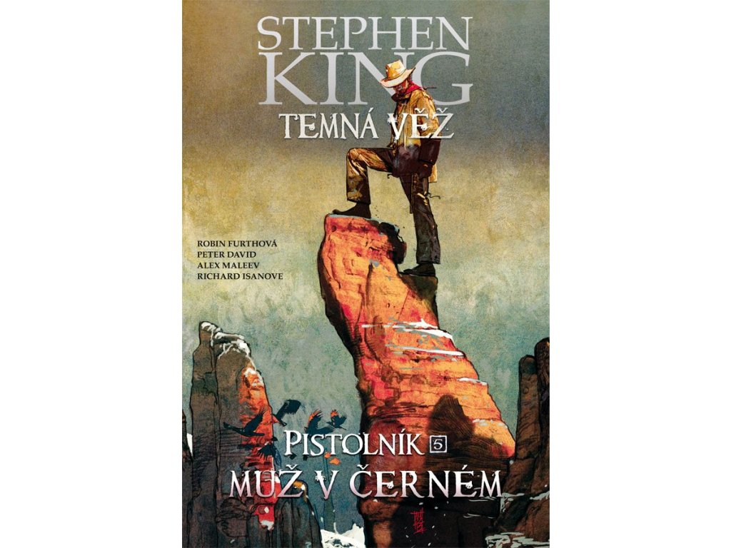 Temná věž 10 - Pistolník: Muž v černém
