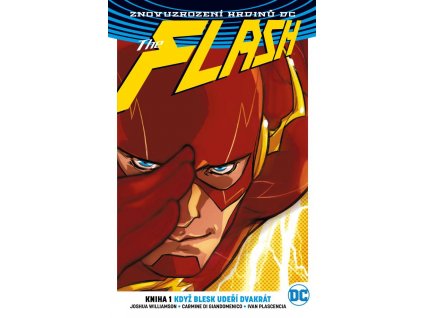 Flash (Znovuzrození hrdinů DC) 01 - Když blesk udeří dvakrát (váz.)