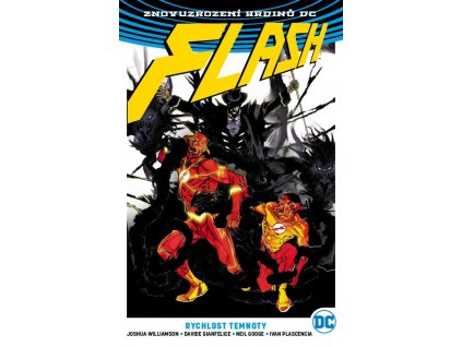 Flash (Znovuzrození hrdinů DC) 02 - Rychlost temnoty (brož.)