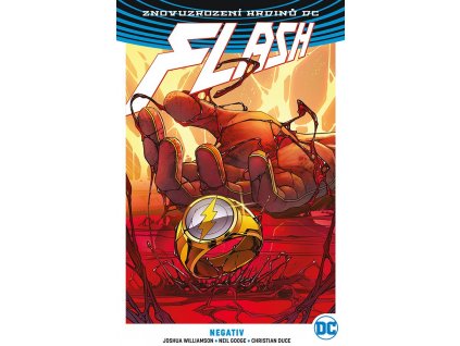 Flash (Znovuzrození hrdinů DC) 05 - Negativ