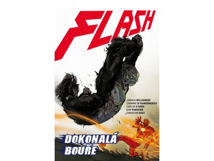 Flash (Znovuzrození hrdinů DC) 07 - Dokonalá bouře