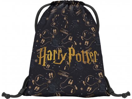 Harry Potter vak Marauders