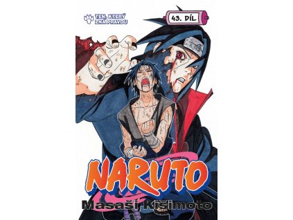 Naruto 043: Ten, který zná pravdu