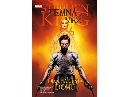 Temná věž 02 - Dlouhá cesta domů