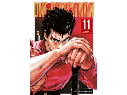 one punch men 11