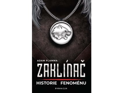 a101Z0F0006196 zaklínac historie fenomenu 2d