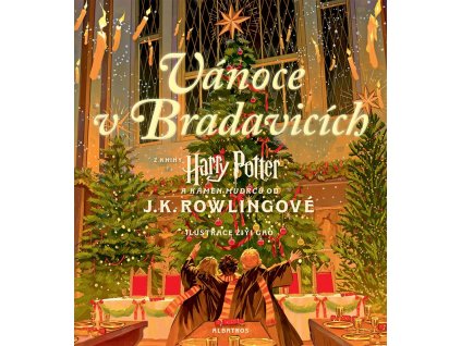 A10110F0010969 harry potter vanoce v bradavicich 2d