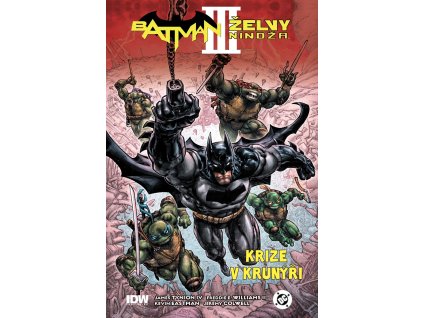 batman zelvy ninja 3