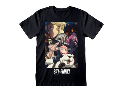 x sxf06226tsb