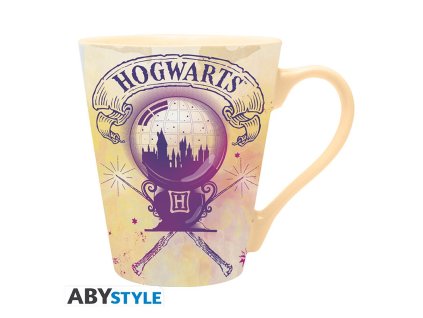 harry potter mug 250 ml amortentia cardboard pkg x2 v2