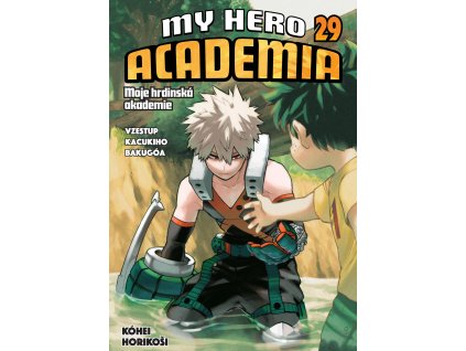 my hero academy 29