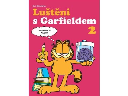 lustei s garfieldem2