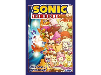 A101M0F0018387 jezek sonic bez varovani 2d