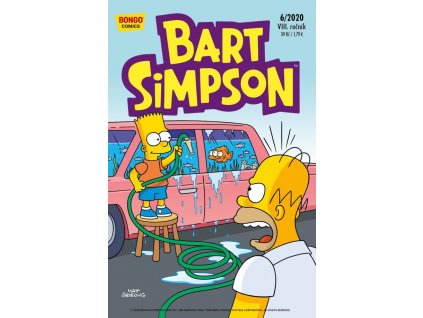 Bart Simpson 2020/06